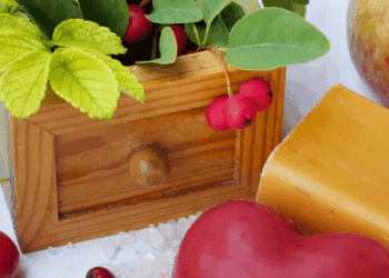 Health News Nepal Banner