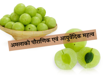 Amla importance