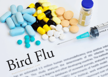 Bird flu symptoms and precautions