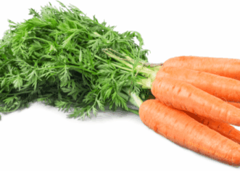 Carrot nutrition