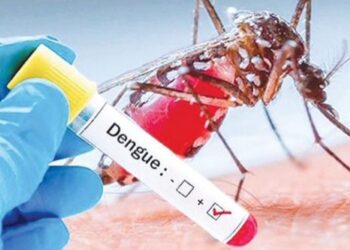 बागलुङका स्वास्थ्य संस्थामा डेंगु परीक्षण किट अभाव