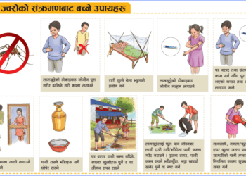 Dengue fever treatment ways