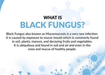 के हो कालो ढुसी ? यसबाट बच्ने उपायहरु यस्ता छन्