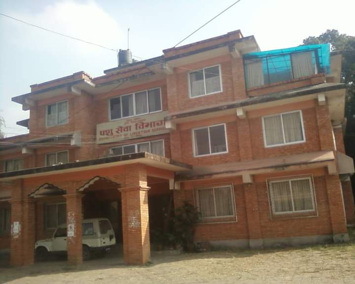 Humiyopyati pashu sewa bibhag - पशु सेवा विभागले भन्यो: बर्डफ्लु नियन्त्रण बाहिर जानसक्छ यसको लागि लकडाउनको तयारी हुँदैछ पशु सेवा विभागले भन्यो: बर्डफ्लु नियन्त्रण बाहिर जानसक्छ यसको लागि लकडाउनको तयारी हुँदैछ