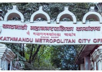 काठमाडौं महानगरपालिकाद्वारा डेंगु सम्बन्धी जिज्ञासाको लागि नि:शुल्क ११८० हटलाइन नम्बर सार्वजनिक