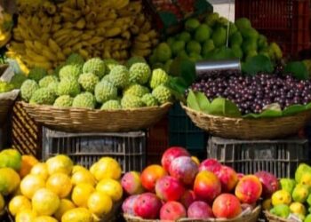 तरकारी र फलफुलमा लगाइएको भ्याट खारेज हुने