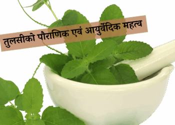 Tulasi importance