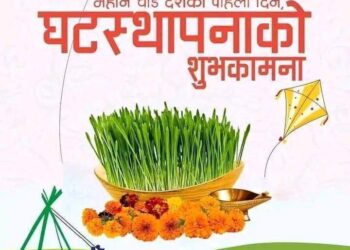 जमरा : धार्मिक महत्वसंगै स्वास्थ्यवर्द्धक पनि छ