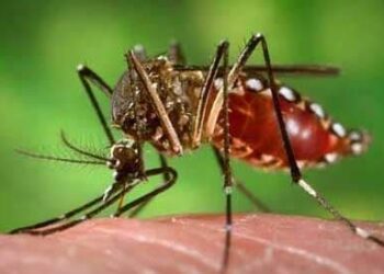 received 223430232106835